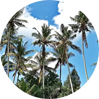 ヨガのコンサルタント