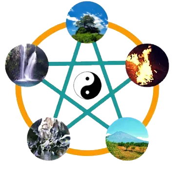 陰ヨガトレーニングコース